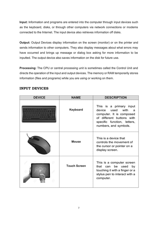Input Data into Computer.pdf