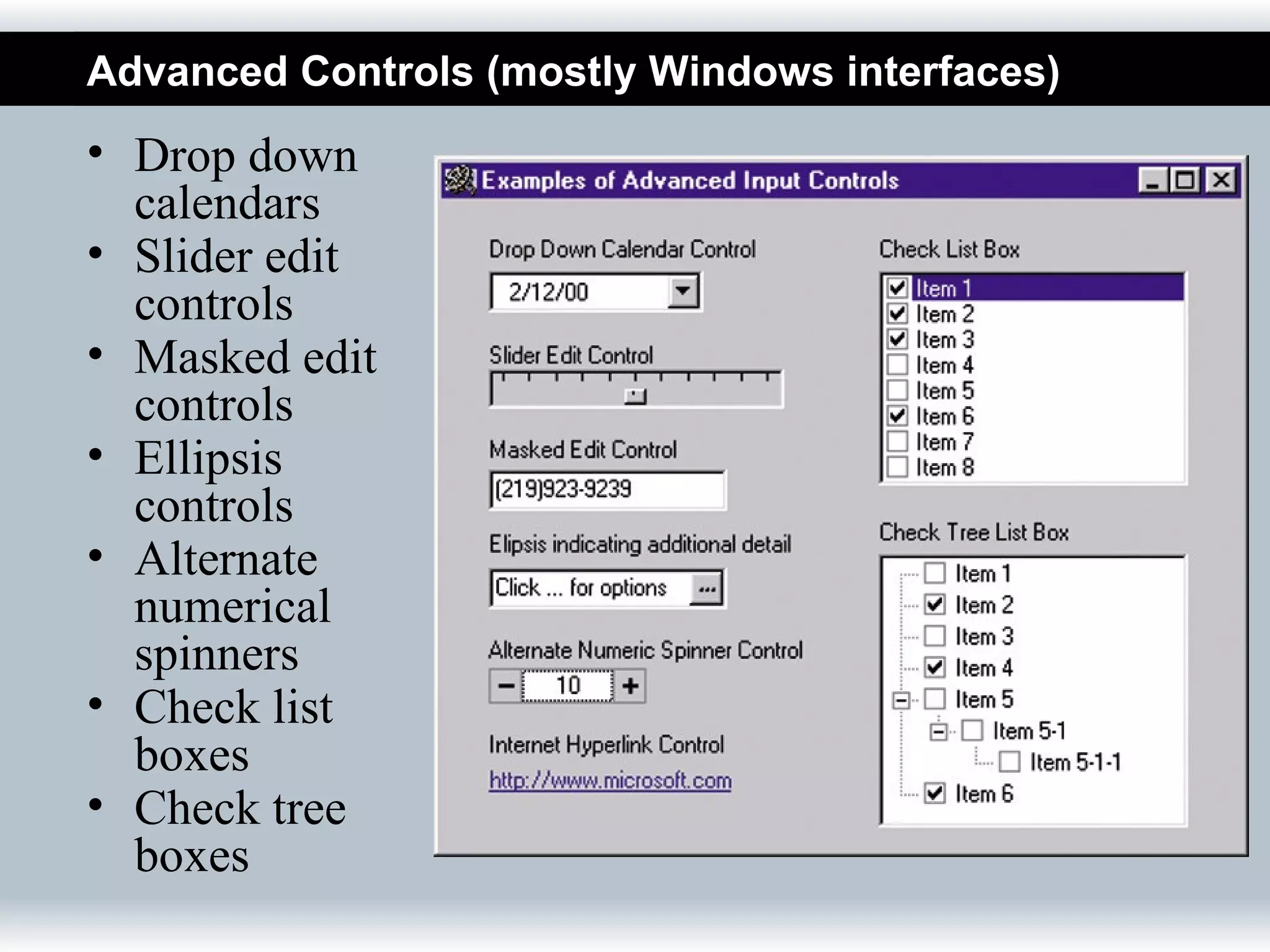 Advanced Controls (mostly Windows interfaces)
• Drop down
  calendars
• Slider edit
  controls
• Masked edit
  controls
• Ellipsis
  controls
• Alternate
  numerical
  spinners
• Check list
  boxes
• Check tree
  boxes
 