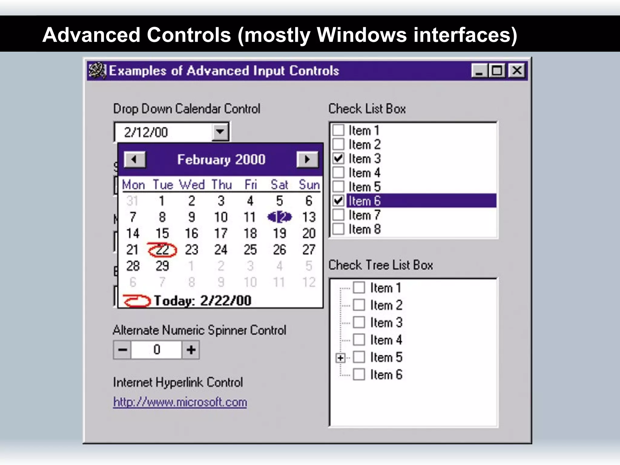 Advanced Controls (mostly Windows interfaces)
 