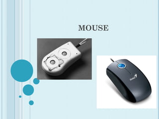 MOUSE
 