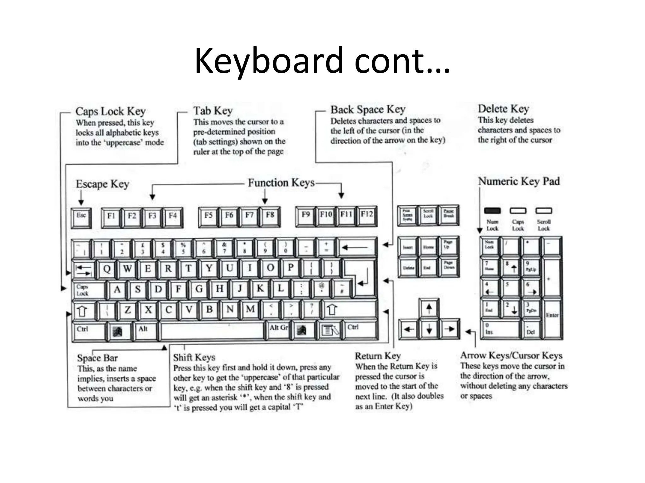 Input Devices in computers - basic knowledge | PPT