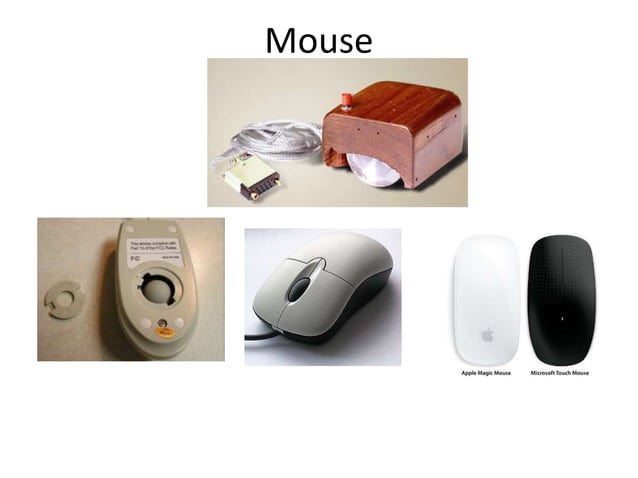 Input Devices in computers - basic knowledge | PPT