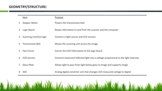 Item Purpose
1 Stepper Motor Powers the transmission belt
2 Logic Board Relays information to and from the scanner and the computer
3 Scanning Unit/Carriage Contains a light source and CCD sensors
4 Transmission Belt Moves the scanning unit across the image
5 Flex Circuit Carries the CCD information to the logic board
6 CCD sensors Converts measured reflected light into a voltage proportional to the light intensity
7 Glass Plate Allows light to pass from light below glass to image and supports image
8 ADC Analog digital converter unit that changes CCD measured voltage to digital
GEOMETRY/STRUCTURE:
 