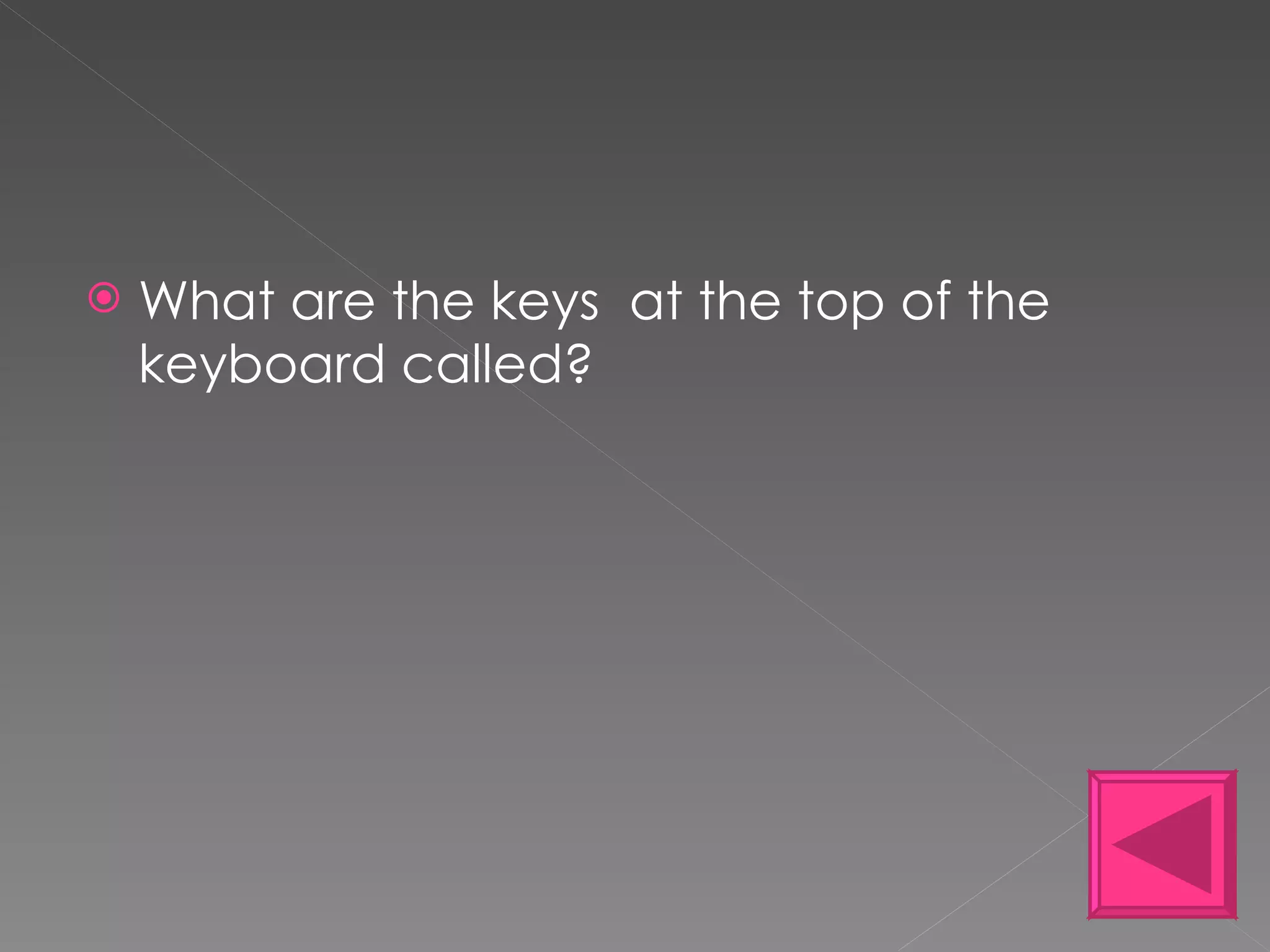 What are the keys  at the top of the keyboard called? 