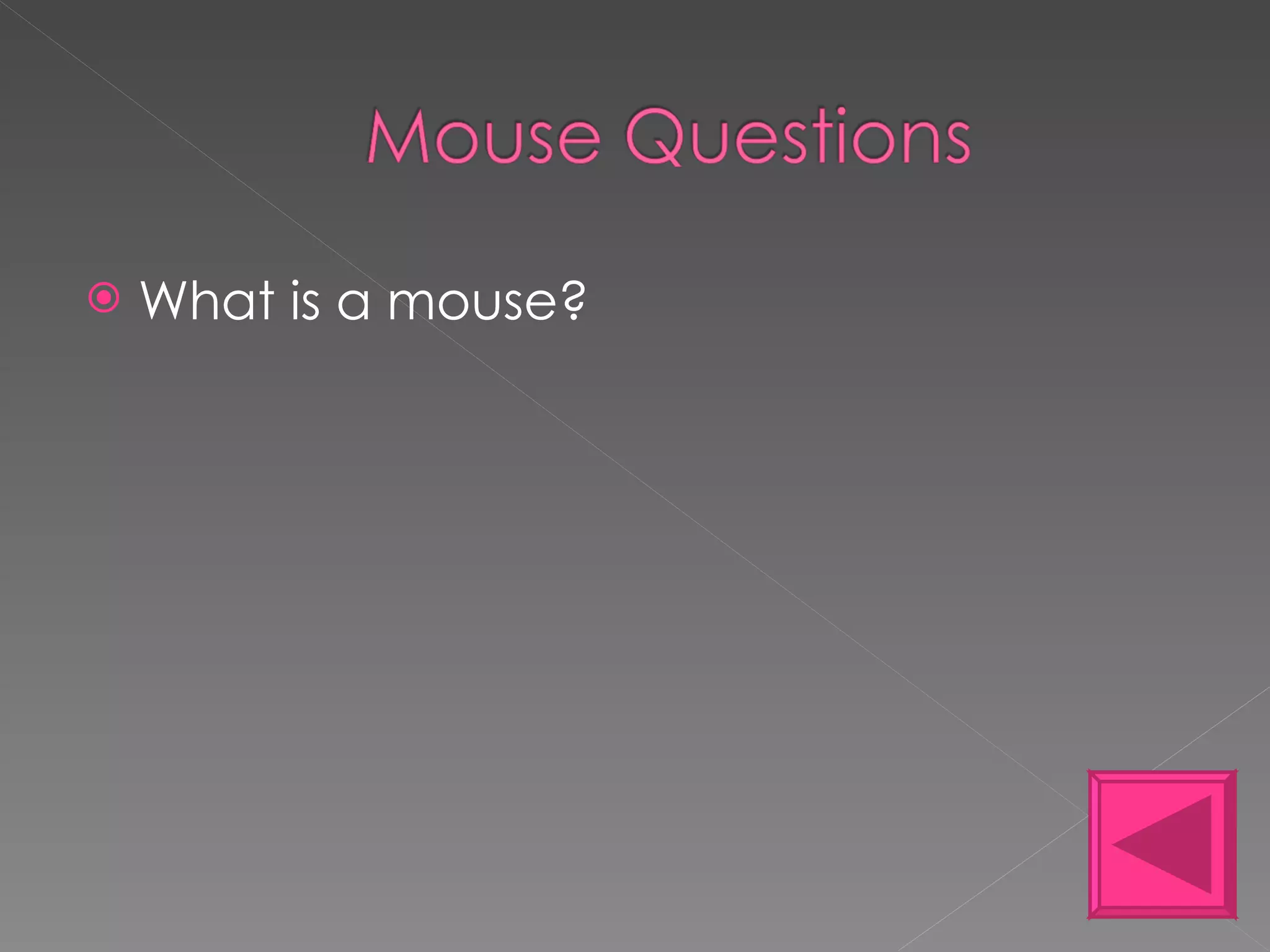 What is a mouse? 