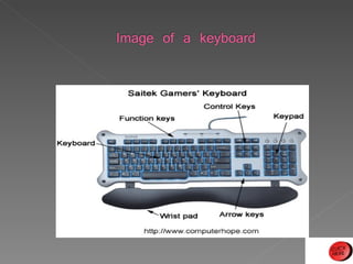Input devices and media.ppt(lowerskl) | PPT