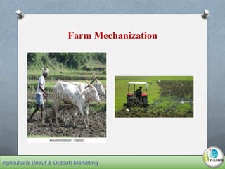 Why Farm Mechanization
O Labour is available at a higher cost per hectare and this would
increase the demand for mechaniza...