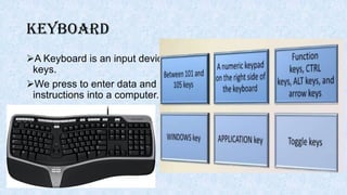 Input out and storage devices | PDF