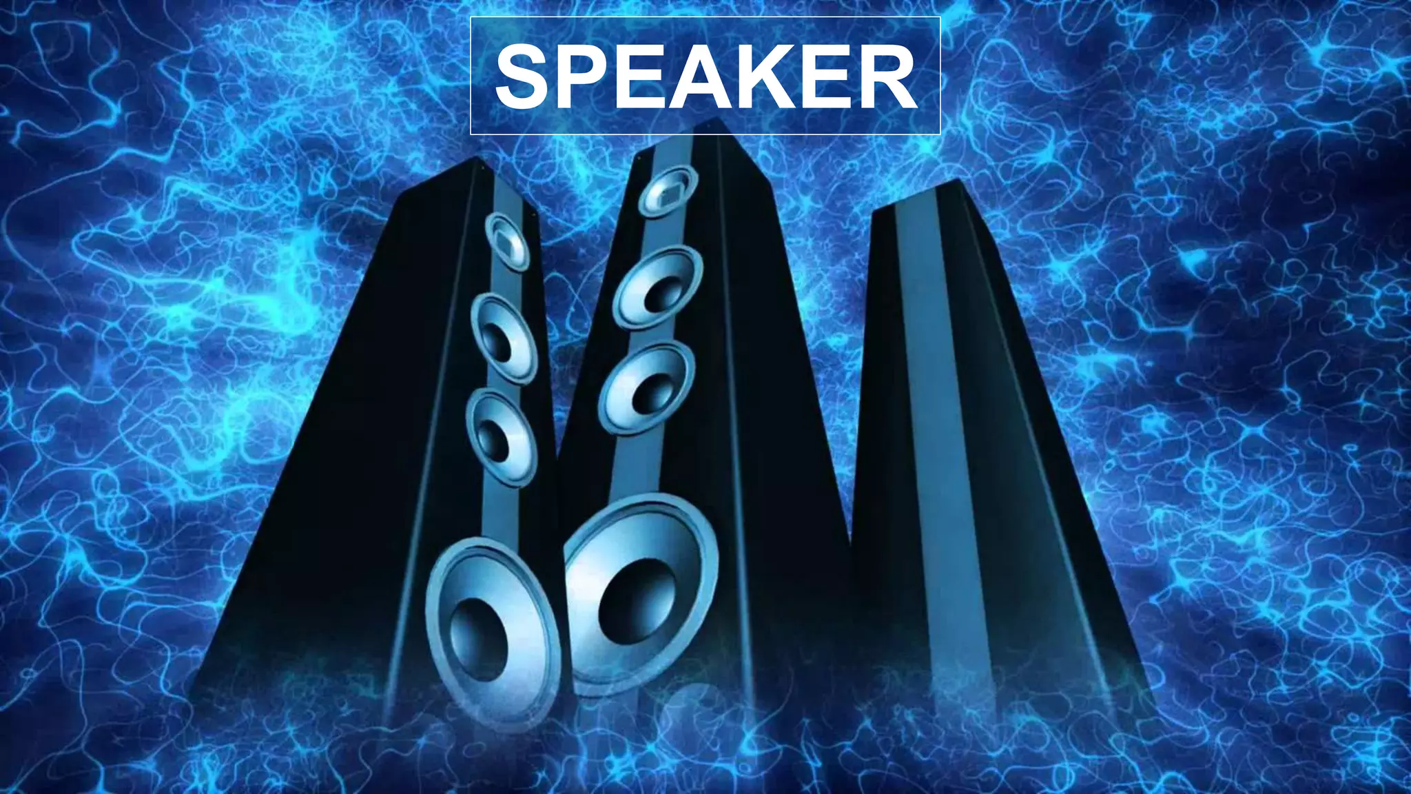SPEAKER
 