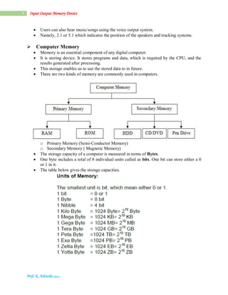 Input output device | PDF