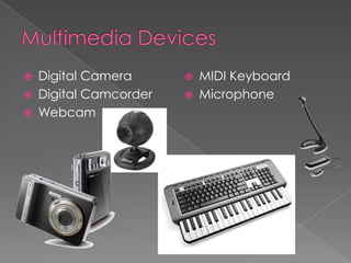    Digital Camera         MIDI Keyboard
   Digital Camcorder      Microphone
   Webcam
 