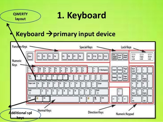 Input & output devices