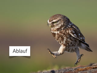 Ablauf
 