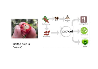 Closed-loop waste management 6
The biorefinery solution developed by Pectcof has several
advantages. First, it enables coffee producers to detoxify
their waste stream and therefore reduces their spending in
waste management. It also prevents toxic leaching into
rivers, lakes or soil that existed before the new process and
therefore has a positive impact on the environment.
Up to now, Pectcof has managed to produce pectin from
coffee pulp with applications in the food products and
pharmaceuticals industries. They are currently working on
biochemical and bio-fuels that could be produced from the
new process.
Separation of coffee bean and pulp in the coffee cherry
The no-waste closed-loop approach of Pectcof
Source: Pectcof12
inability to separate blended fibre garments, dyes and other
contaminants. The new Worn Again solution aims to
recapture polyester and cellulose from cotton and eliminate
this hurdle.
The company has received large press coverage when it was
collaborating with household names such as Eurostar, Virgin
and McDonald’s. However, since then, their business model
shifted from “upcycling”, which means converting waste
materials into new products, to closed loop recycling
technology development. The company is currently
partnering with major clothing retailers, while exploring
routes to industrialisation.
Old staff uniforms turned into bags for Eurostar
Source: Worn Again13
Problem 3 – With the average user changing their mobile
phone every 18 months, there is a large waste of electronic
devices and accessories.
Innovative solution 3 – SecondLifElectronics has developed
a recycling solution for portable electronic devices. The
mission of the firm is to collect, refurbish, reuse mobile
phones, portable electronics and their accessories. The
solution developed by SecondLifElectronids is particularly
beneficial for the end-users. They can now earn revenues
from what they previously discarded, and thus renew their
devices more often.
The company is aiming at two types of clients for the
collected devices. Firstly, the end of life stock is recycled by
melting to leverage on the parts with high value. Secondly,
the devices, which can still be used, are sold to emerging
markets, where the demand for such products is high.
Closed-loop waste management
The no-waste closed-loop approach of Pectcof
Source: Pectcof12
Source: W
Problem
phone ev
devices a
Innovati
a recyc
mission
phones,
solution
benefici
from wh
devices
The com
collected
melting
the devi
markets
Coffee pulp is
“waste”
 