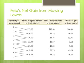 Felix ’s Net Gain from Mowing Lawns 
