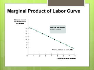 Marginal Product of Labor Curve Marginal product of labor, MPL 7 8 6 5 4 3 2 1 0 19 17 15 13 11 9 7 5 Marginal product of labor (bushels per worker) Quantity of labor (workers) There are diminishing returns to labor. 