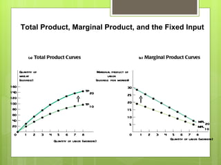 (a)  Total Product Curves (b)  Marginal Product Curves Marginal product of labor  (bushels per worker) Quantity of wheat  (bushels) 7 8 6 5 4 3 2 1 0 30 25 20 15 10 5 7 8 6 5 4 3 2 1 0 160 140 120 100 80 60 40 20 TP 20 TP 10 MPL 20 MPL 10 Quantity of labor (workers) Quantity of labor (workers) Total Product, Marginal Product, and the Fixed Input 