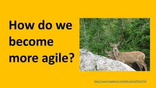 How do we
become
agile?
 