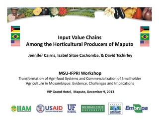 Input Value Chains 
Among the Horticultural Producers of Maputo
Jennifer Cairns, Isabel Sitoe Cachomba, & David Tschirley
MSU‐IFPRI Workshop 
Transformation of Agri‐food Systems and Commercialization of Smallholder 
Agriculture in Mozambique: Evidence, Challenges and Implications
VIP Grand Hotel,  Maputo, December 9, 2013
 