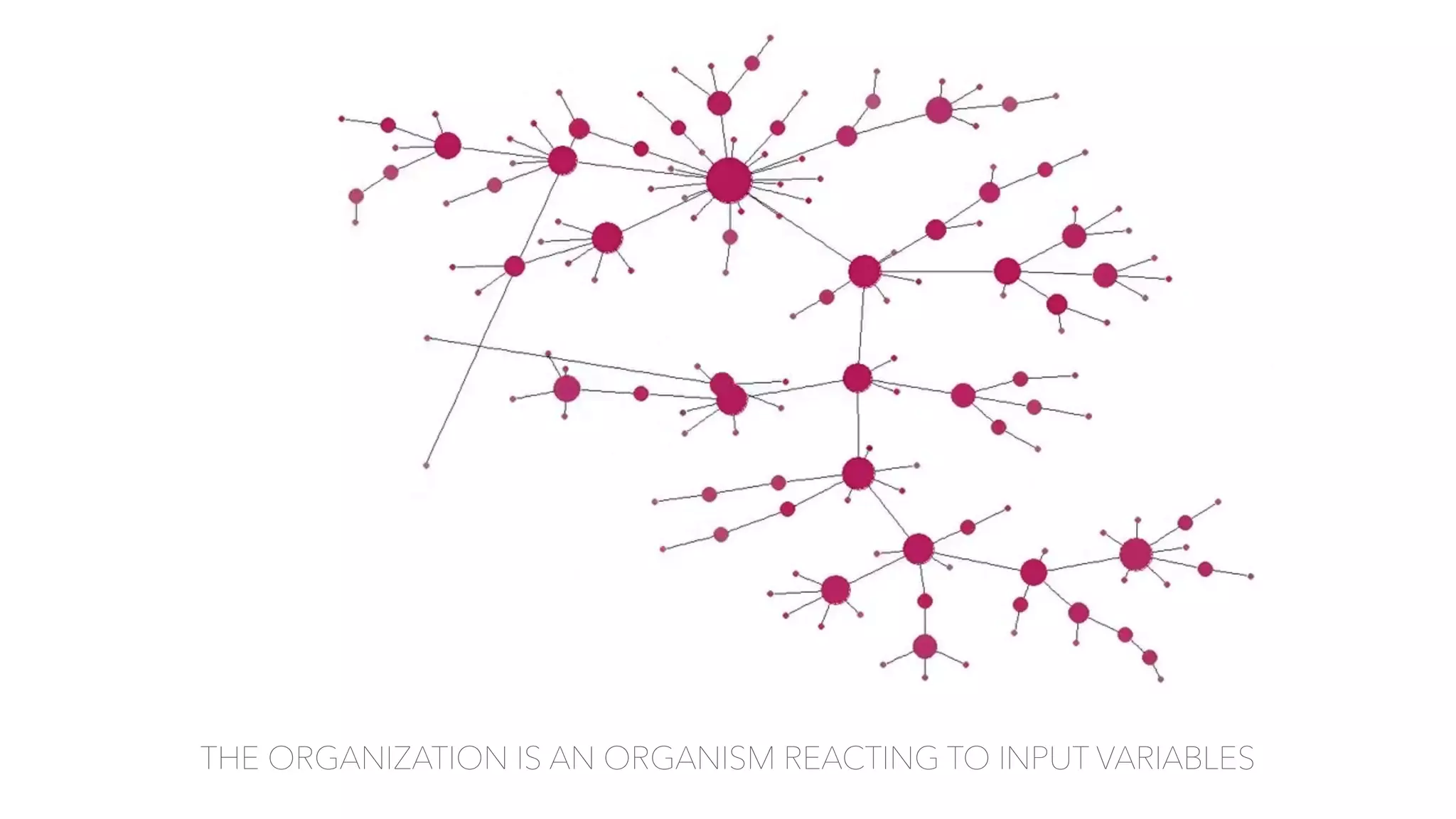 THE ORGANIZATION IS AN ORGANISM REACTING TO INPUT VARIABLES
 