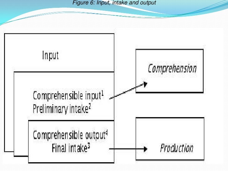 Input vs output hypothesis