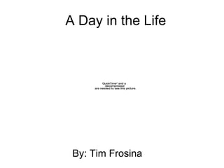 A Day in the Life By: Tim Frosina 