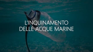 L’INQUINAMENTO
DELLE ACQUE MARINE
 