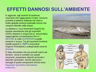 Inquinamento da plastica