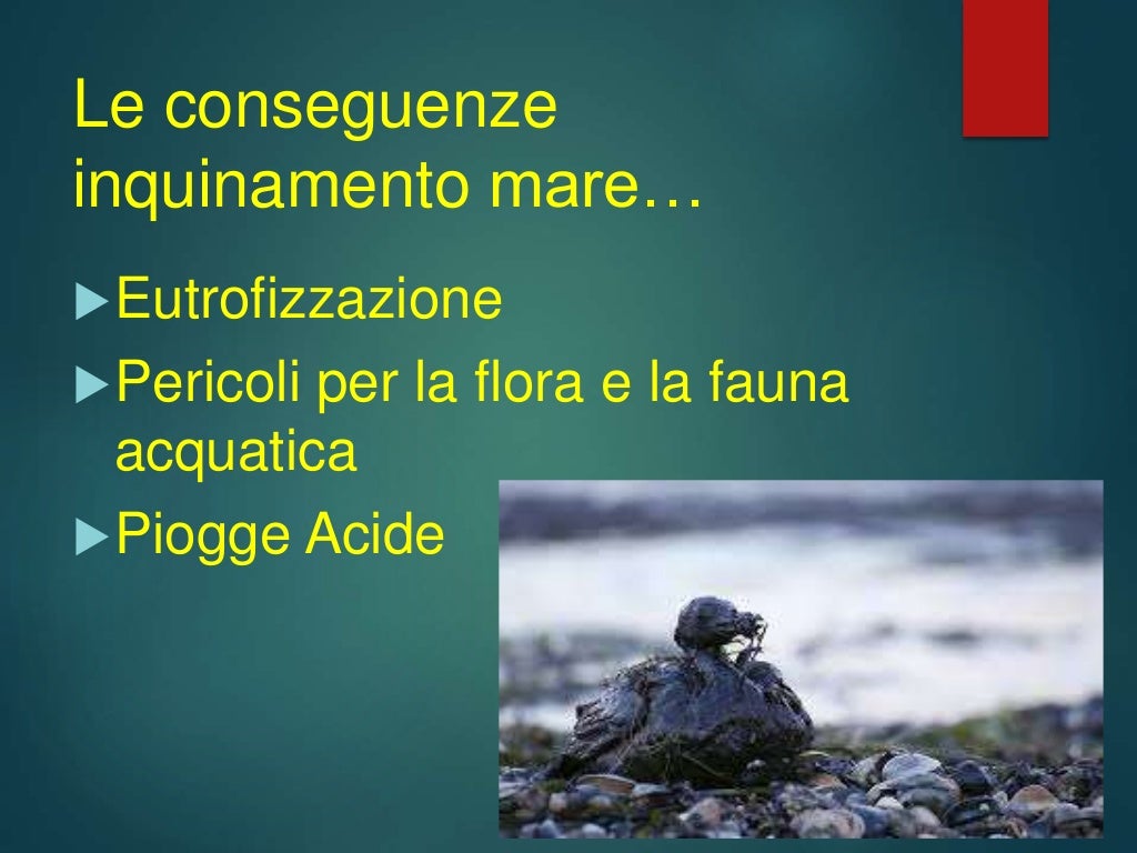 Inquinamento Del Mare Ricerca Scuola Media