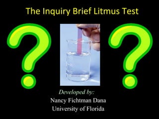 The Inquiry Brief Litmus Test Developed by:   Nancy Fichtman Dana University of Florida 