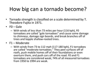 How big can a tornado become? Tornado strength is classified on a scale determined by T. Theodore Fujita in 1971. F0 – Gale With winds of less than 73 miles per hour (116 kph), F0 tornadoes are called "gale tornadoes" and cause some damage to chimneys, damage sign boards, and break branches off of trees and topple shallow-rooted trees. F1 – Moderate With winds from 73 to 112 mph (117-180 kph), F1 tornadoes are called "moderate tornadoes." They peel surfaces off of roofs, push mobile homes off of their foundations or even overturn them, and push cars off of the road. F0 and F1 tornadoes are considered weak; 74% of all measured tornadoes from 1950 to 1994 are weak.  