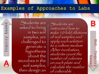 Inquiry Lab Examples Inquiry based labs | PPTX