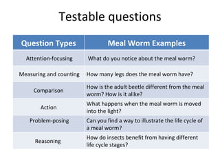 Testable questions Question Types Meal Worm Examples Attention-focusing What do you notice about the meal worm? Measuring ...
