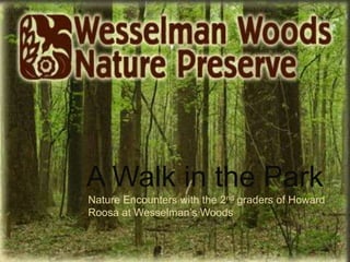A Walk in the Park Nature Encounters with the 2nd graders of Howard Roosa at Wesselman’s Woods 