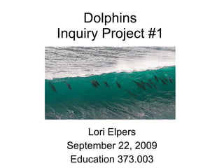 Dolphins Inquiry Project #1 Lori Elpers September 22, 2009 Education 373.003 