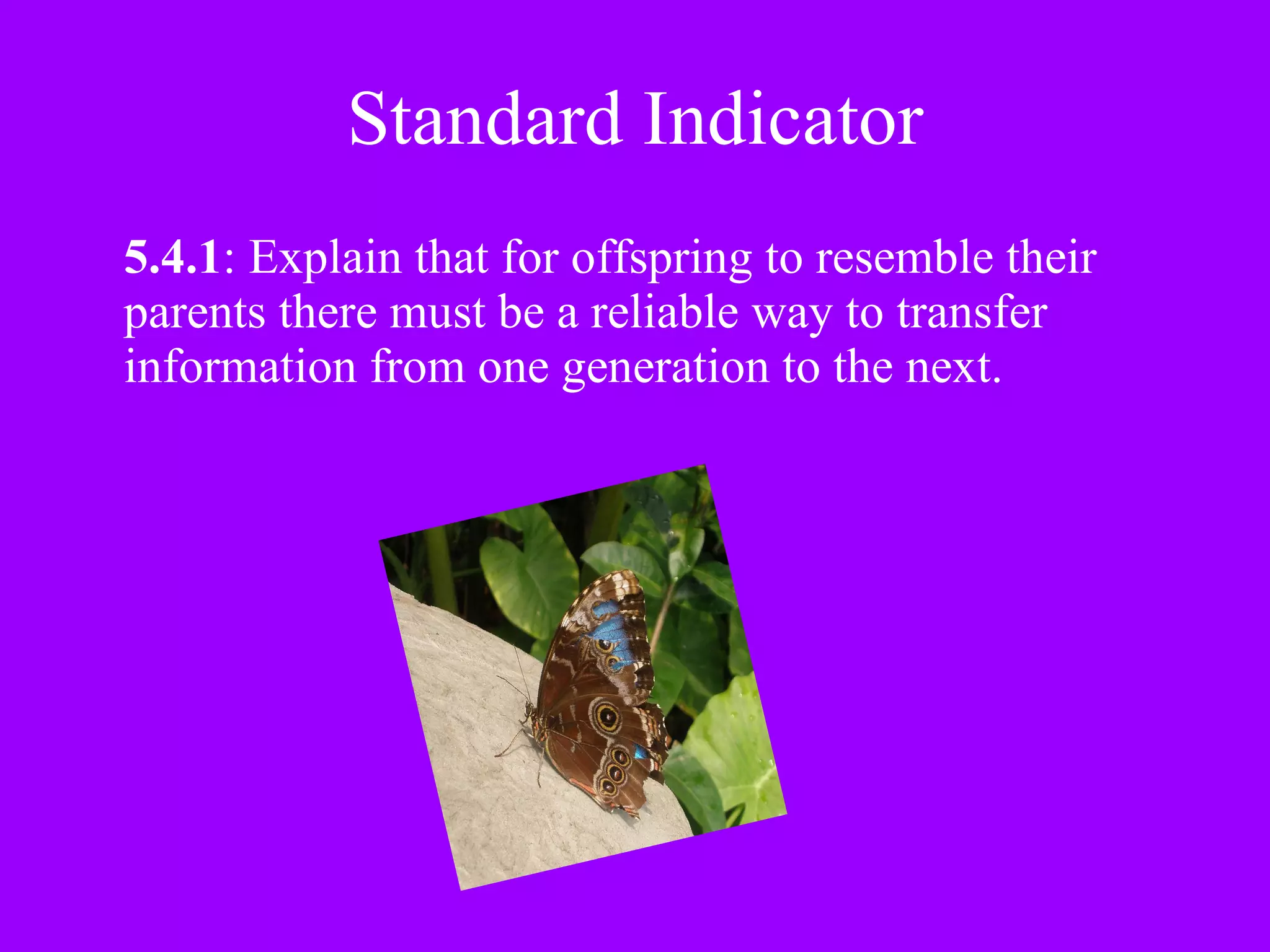 Standard Indicator 5.4.1 : Explain that for offspring to resemble their parents there must be a reliable way to transfer information from one generation to the next.  