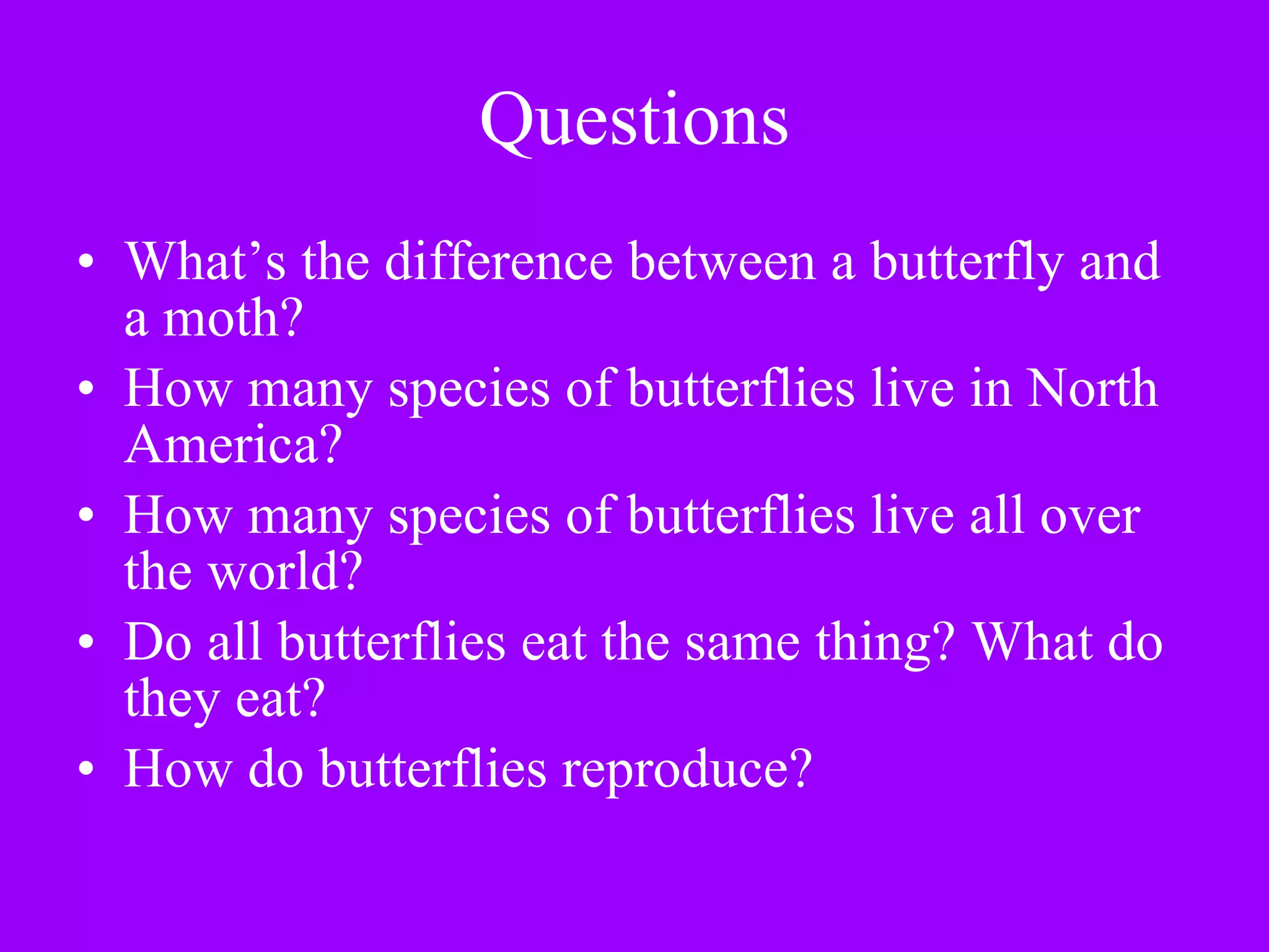Questions What’s the difference between a butterfly and a moth? How many species of butterflies live in North America? How many species of butterflies live all over the world? Do all butterflies eat the same thing? What do they eat? How do butterflies reproduce? 