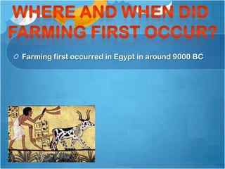 Farming first occurred in Egypt in around 9000 BC
 