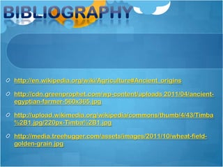 http://en.wikipedia.org/wiki/Agriculture#Ancient_origins

http://cdn.greenprophet.com/wp-content/uploads 2011/04/ancient-
egyptian-farmer-560x365.jpg

http://upload.wikimedia.org/wikipedia/commons/thumb/4/43/Timba
%2B1.jpg/220px-Timba%2B1.jpg

http://media.treehugger.com/assets/images/2011/10/wheat-field-
golden-grain.jpg
 