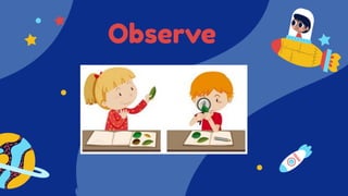 Observe
 