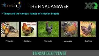 • These are the various names of chicken breeds
THE FINAL ANSWER
Phoenix Bantam Plymouth Vanaraja Brahma
 