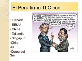 El Perú firmo TLC con:
• Canadá
• EEUU
• China
• Tailandia
• Singapur
•Chile
•UE
•Corea del
Sur
 