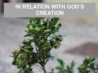 IN RELATION WITH GOD’S
CREATION
 