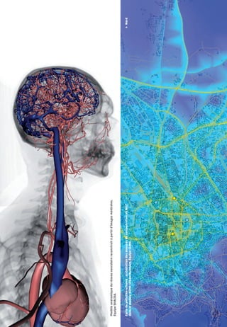 Modèle anatomique du réseau vasculaire reconstruit à partir d’images médicales.
Équipe SHACRA.



Carte de pollution urbaine : assimilation des mesures de concentration en N02      Nord
dans le modèle ADMS Urban/Numtech. Équipe CLIME.
 