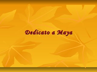 Dedicato a MayaDedicato a Maya
 