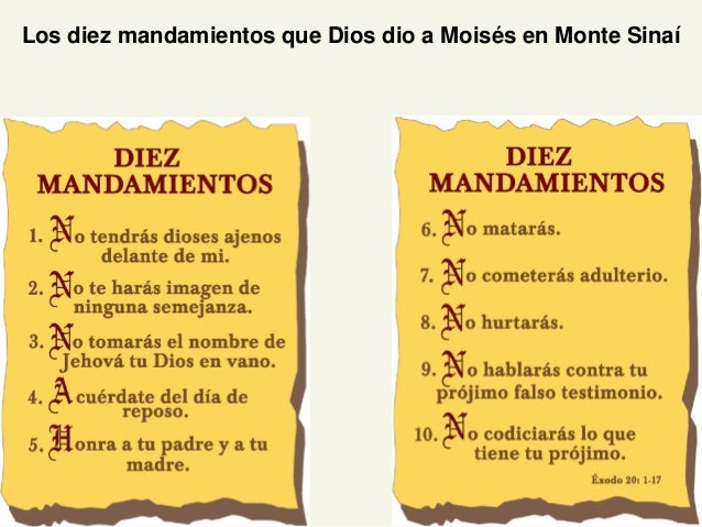 preguntas de la biblia flanders inroducci 243 n al a tv preguntas de la biblia flanders inroducci 243 n al a tv