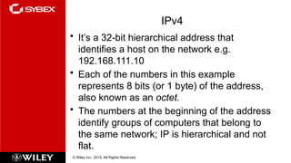 Networking Basics: An Introduction Concept | PPTX