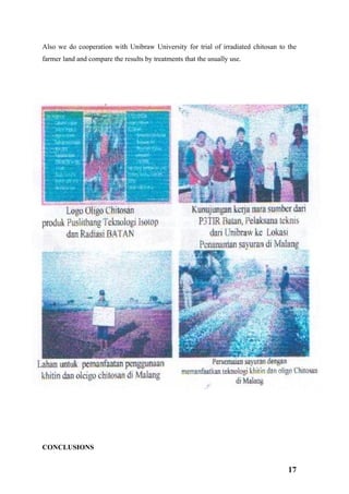 Also we do cooperation with Unibraw University for trial of irradiated chitosan to the
farmer land and compare the results by treatments that the usually use.




CONCLUSIONS


                                                                                   17
 