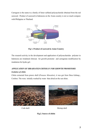 Carrageen is the name to a family of linier sulfated polysaccharide obtained from the red
seaweed . Product of seaweed in Indonesia on the Asian country is not so much compare
with Philippine or Thailand.




                       Fig 1. Product of seaweed in Asian Country


The research activity in the development and application of polysaccharides polymer in
Indonesia are irradiated chitosan for growth promoter and carragenan modification by
irradiation for hydro gel .


APPLICATION OF IRRADIATED CHITOSAN FOR GROWTH PROMOTORS
Isolation of chitin
Chitin extracted from prawn shell (Penaeus Monodon), it was got from Desa Gebang ,
Cirebon. The were initially washed by water then dried on the sun shine.




  .
             Crab shell                                    Shrimp shell

                                 Fig.2. Source of chitin




                                                                                       3
 