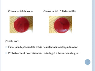 Crema labial de coco Crema labial d’oli d’ametlles
Conclusions:
 És falsa la hipòtesi dels estris desinfectats inadequadament.
 Probablement no creixen bacteris degut a l’absència d’aigua.
 